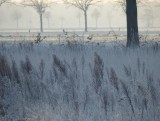 22 Januari 2016