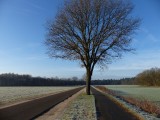 22 Januari 2016
