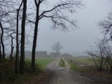 23 Januari 2016