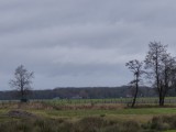 27 Januari 2016