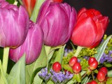 27 Januari 2016