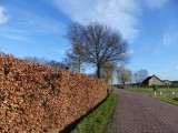 28 Januari 2016