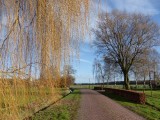 28 Januari 2016