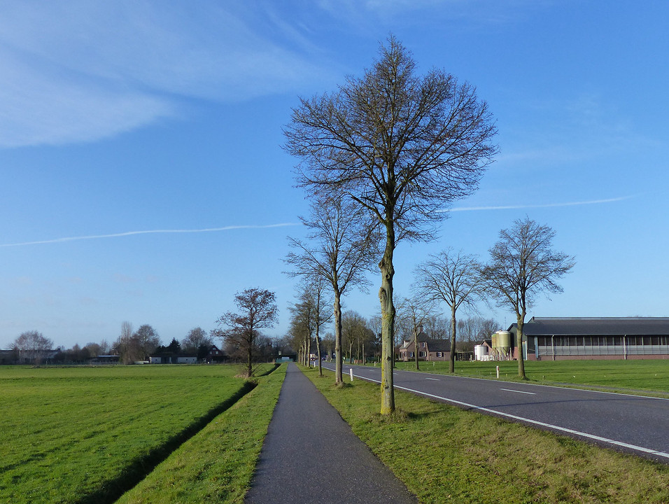 3 Februari 2016