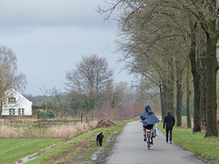 4 Februari 2016