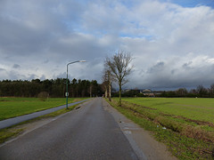 4 Februari 2016