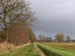 4 Februari 2016