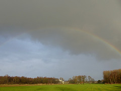 4 Februari 2016