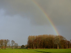 4 Februari 2016