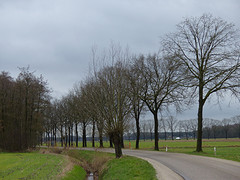 5 Februari 2016
