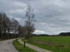 6 Februari 2016