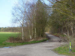 8 Februari 2016