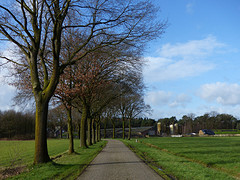 8 Februari 2016
