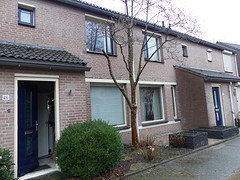 10 Februari 2016