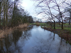 10 Februari 2016