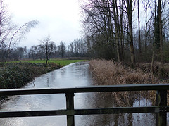 10 Februari 2016