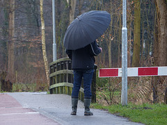 10 Februari 2016