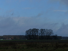 10 Februari 2016