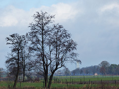 10 Februari 2016