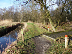 11 Februari 2016