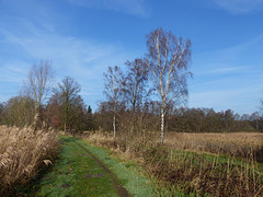 11 Februari 2016