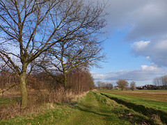 12 Februari 2016