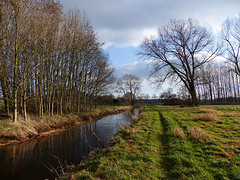12 Februari 2016