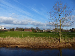 12 Februari 2016