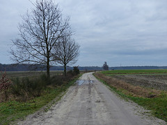 13 Februari 2016