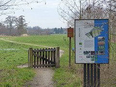 13 Februari 2016