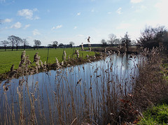 15 Februari 2016