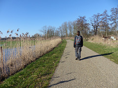 16 Februari 2016