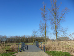 16 Februari 2016