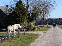 17 Februari 2016