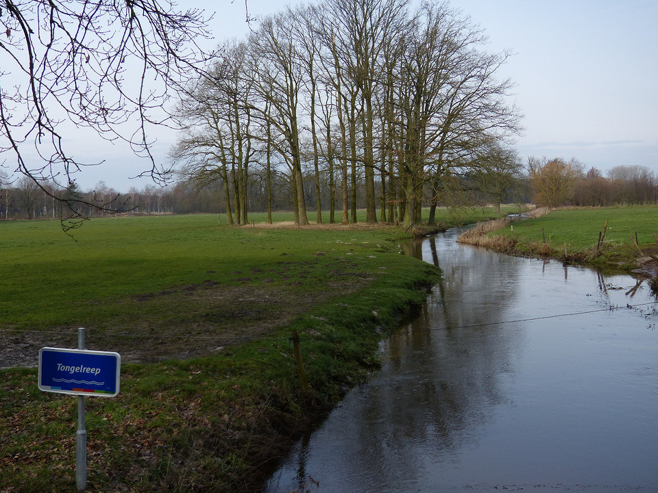 18 Februari 2016
