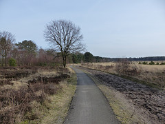 18 Februari 2016