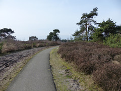 18 Februari 2016