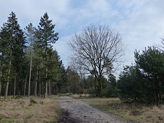 18 Februari 2016
