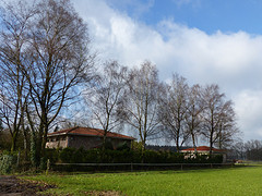 23 Februari 2016