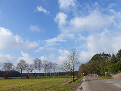 23 Februari 2016