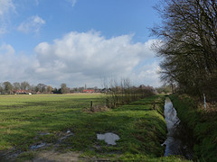 23 Februari 2016