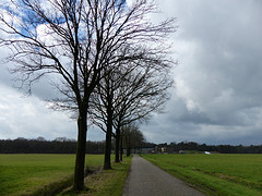 23 Februari 2016