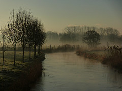 24 Februari 2016