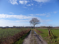 24 Februari 2016
