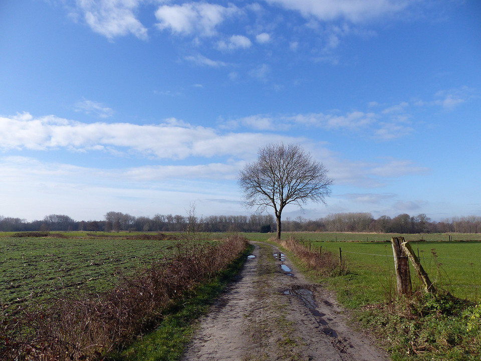 24 Februari 2016
