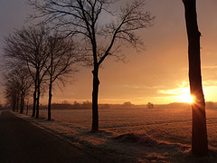 25 Februari 2016