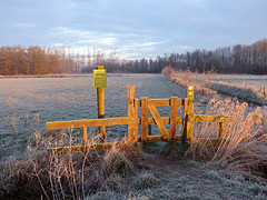 25 Februari 2016