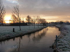 25 Februari 2016