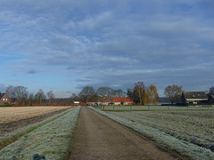 25 Februari 2016