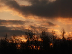 26 Februari 2016